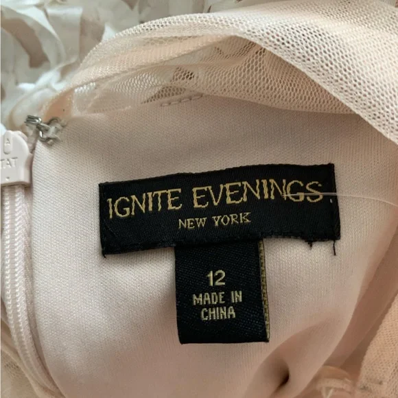 NEW WITH TAG Ignite Evenings gowns size 12 - Picture 5 of 6